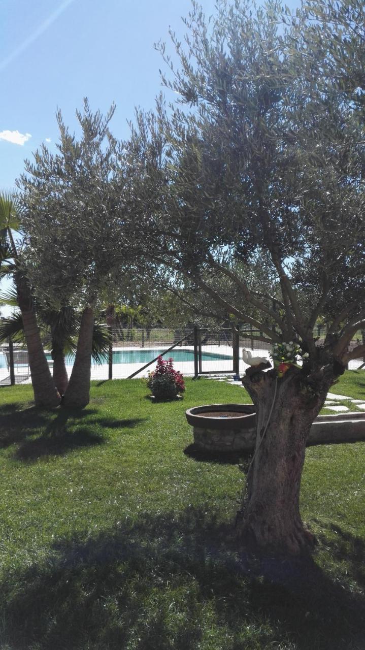 Agriturismo San Gallo Strassoldo 외부 사진